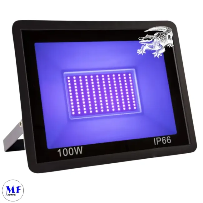 Close-up view of UV curing light showing 2835 chip arrangement and clear glass cover