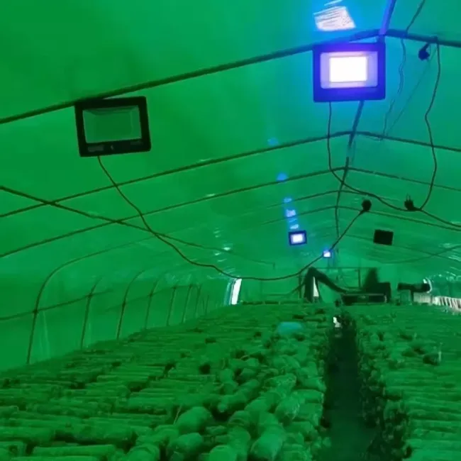 100W LED UV Light technical details