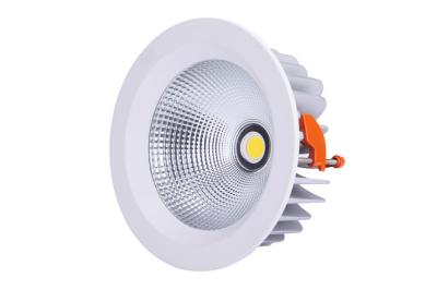 China 22w External Led COB Downlight White Ral9003 Color Led Lighting Downlights for sale