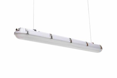 中国 Triproofの照明設備LEDをつけるK8W IP65屋外の防水LEDは堅いライトを蒸発させる 販売のため