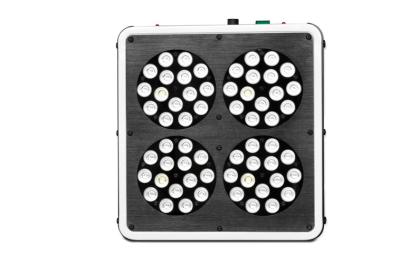China Intelligent Red / Blue LED Grow Lamp Safe Output Low DB LED Indoor Grow Lights for sale