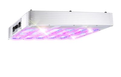 China Full Cycle 630 Watt LED Grow Panel Light For Seedling / Growing / Blooming / Fruiting for sale