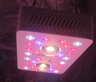 China LED Grow Lighs 205W for sale