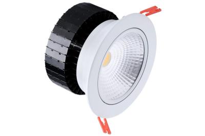 China High Flux White 50w COB Led Down Light RAL9003 Led Commercial Downlights for sale