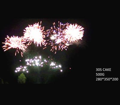 China Fan Shaped 30 Shots Cakes Fireworks 500G 25*30*200mm For Celebration for sale
