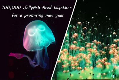 China New Year Toy Firework Jellyfish Consumer Novelty Fireworks Skyshots Pyrotechnic for sale