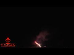100 colpi che i fuochi d‘artificio professionali visualizzano la Z hanno modellato la pirotecnica dei fuochi d‘artificio