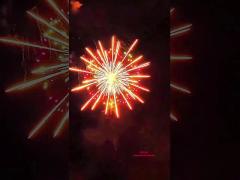 2025 Mandarino pirotecnica 3 4 5 6 pollici fuochi d‘artificio professionali Display Shell fuochi d‘artificio 1.3g