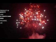 Liuyang 20 colpi 500g ha personalizzato i fuochi d‘artificio del dolce per il nuovo anno