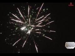 Liuyang 24 fuochi d‘artificio sparati del dolce di pirotecnica per la celebrazione dei nuovi anni