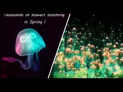 Fuochi d‘artificio Skyshots di Toy Firework Jellyfish Consumer Novelty del nuovo anno pirotecnico