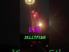 Grandi fuochi d‘artificio di Skyshots dei fuochi d‘artificio della novità dei fuochi d‘artificio delle meduse di Liuyang pirotecnici