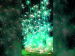 Fuochi d‘artificio Skyshots Toy Fireworks pirotecnico della novità del consumatore del colpo del cielo delle meduse