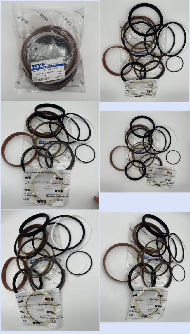 WYS Original Parts R210LC-7 31Y1-15236 ARM SEAL KIT