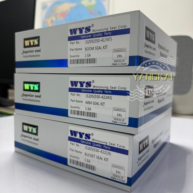 Boom cylinder seal kit installation in hydraulic system