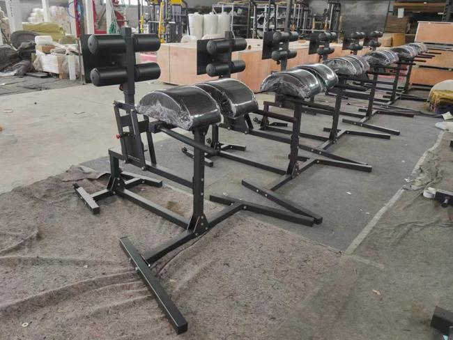 Factory Direct Sales GHD Back Hyperextension Roman Chair Fitness Equipment