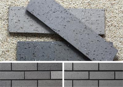 Chine Matériau de construction décoratif extérieur de mur d'argile de panneaux de mur de placage de brique avec la surface approximative à vendre