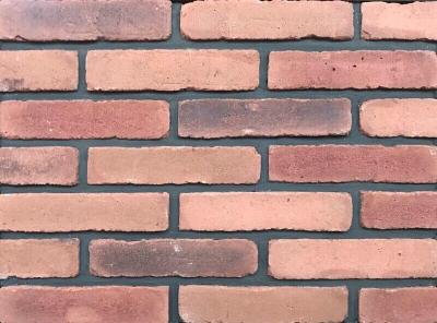 China Thin brick for cladding wall brick with molded techonology en venta