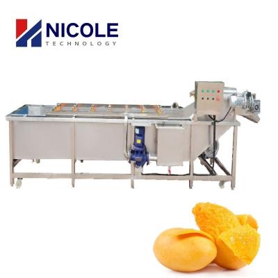China Mango Industrial Fruit Washing Machine Multifunctional Veggie Cleaner Machine for sale
