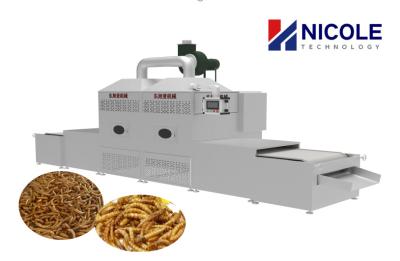 China Ce Plc Control Conveyor Microwave Dryer Machine For Tenebrio Industrial for sale