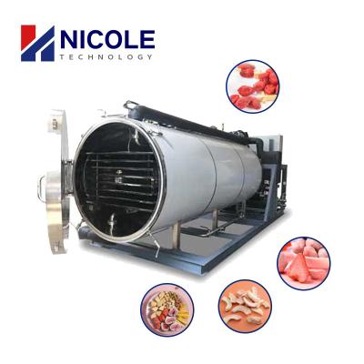 China Fruit Dehydration Porous Effect Strawberry Vacuum Freeze Drying Equipment 380V for sale