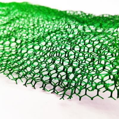 China Contemporary Design Plastic 3D Geomat for Erosion Control and Slope Protection Net for sale
