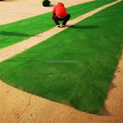 China 3D Geomat Em4 The Three-Dimensional Mat for Soil Erosion Control in Road Construction for sale