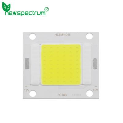 China Full Specturm Flip Chip COB LED Module Customized Logo For Spotlight for sale