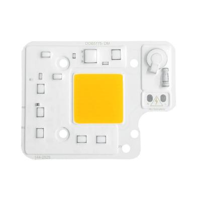 China Warm White 50W LED Chip COB LED Module Customized Logo With Driver On Board for sale