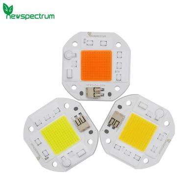 China High Lumen Output 50W LED Chip for sale