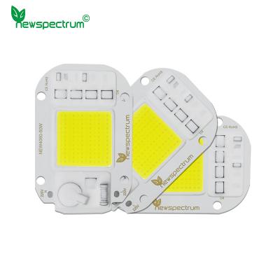 China 20W 30W UV LED Module AC COB Driveless For Outdoor Spotlight for sale