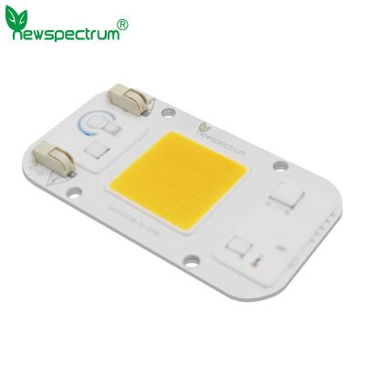 China No Flicker Cob Led 50w Chip Warm White No Welding For Greenhouse Lights for sale
