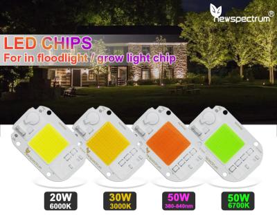 China Thermal Resistance 50w Cob Led Chip 50HZ For Spotlight Floodlight for sale