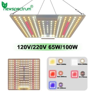 China Full Spectrum 100w Led Light Thin Quantum Board Lamp AC100V No Flicker Driver for sale