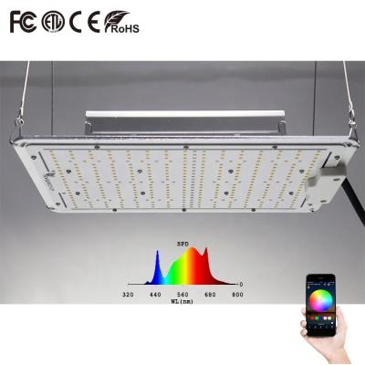 China Efficient 329pcs Samsung LED Quantum Board For Lighting Needs for sale