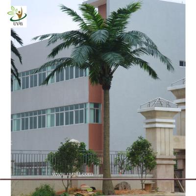 China UVG PTR008 20ft tall Wholesale artificial coconut palm tree in fiberglass trunk for Garden for sale