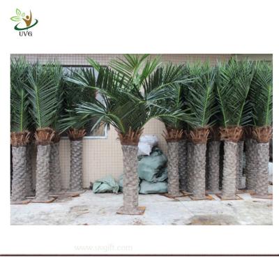 China UVG PTR001 Small plastic coconut tree with artificial silk leaves for sale and decoration for sale