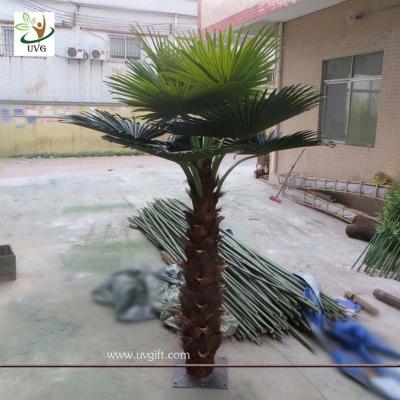 China UVG PTR011 7ft Artificial miniature plastic palm tree with natural trunk for indoor decor for sale