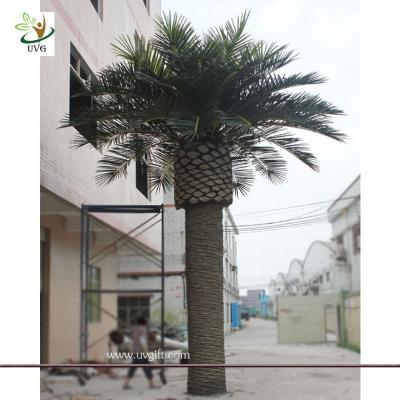 China UVG PTR013 20ft Giant fake palm tree dubai with UV leaves for outdoor beach decoration for sale