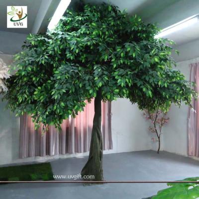 China UVG GRE038 10ft high Hand made big artificial banyan tree for indoor decoration for sale