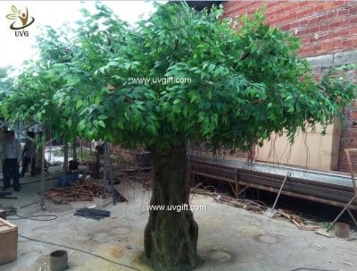 China UVG glassfiber indoor green fake banyan tree tall silk trees for shopping center decoration GRE054 for sale
