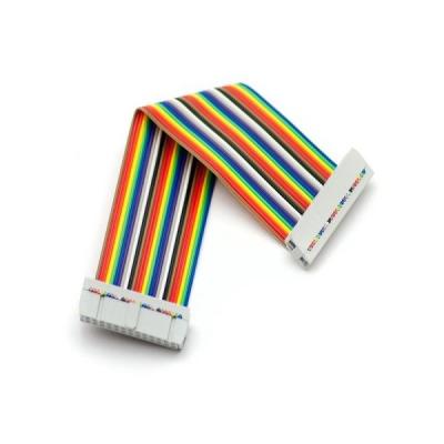 China Custom Dupont 1.27mm Male to Female 12pin Flexible Flat Rainbow Cable for EURO Market for sale