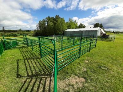 China Farm Animal Corral Fence Galvanized Metal Round Rail Livestock Horse Cattle for sale