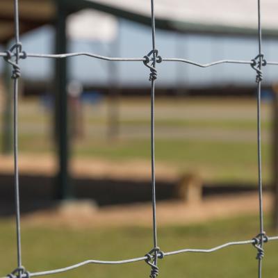 China Hot Dip Galvanized Fixed Knot Wire Fence 8ft Deer Wire Mesh for sale