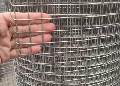 China 1/2 Inch Ss Welded Wire Mesh , SGS Chicken Cage Wire Mesh for sale