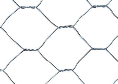 China 19mm Poultry Wire Mesh Fence , 50mm Hole Hex Wire Fencing for sale