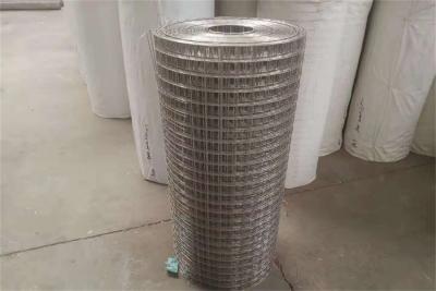China 1/2 Inch X1/2 Inch 0.6mm Stainless Steel Welded Wire Mesh for sale