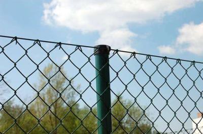China 10x10cm Hole Size 1.5mm Iron Chain Link Fence Galvanized Pvc Coated for sale