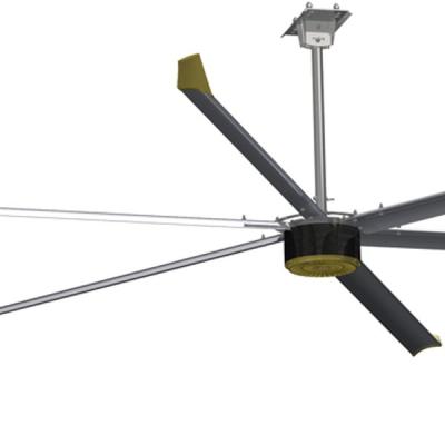 China 5.0M 16FT Big Fans for Optimal Air Circulation in School and Gymnasium Spaces à venda
