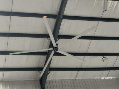 China Warehouse Large Spaces Hvls Ceiling Fan For Sports Center for sale